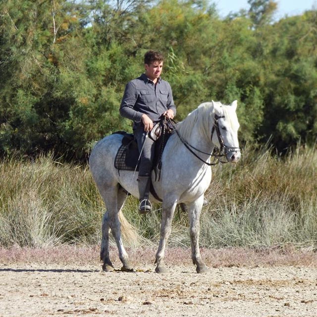 Mathieu Truffier éleveur de chevaux Camargue